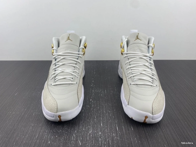Reps TBkick White Retro 873864-102 12 Jordan OVO 0716